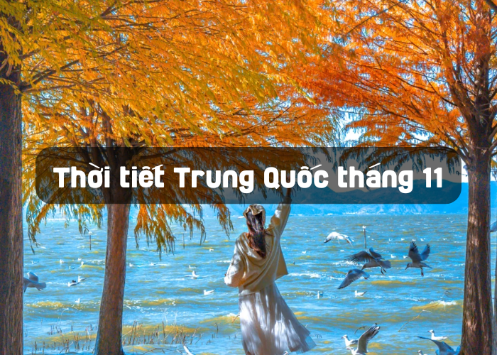 Thời tiết Trung Quốc tháng 11 năm 2024: Mẹo thời tiết và nơi nên đến